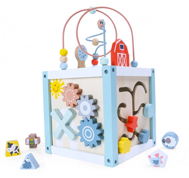Lesena sortirna kock s kockami Ecotoys