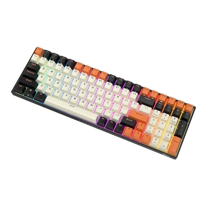 Mehanska tipkovnica Royal Kludge RK100 RGB rjavi stikalnik