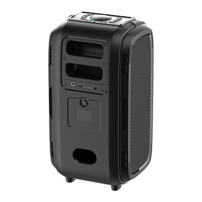 Brezžični zvočnik Bluetooth W-KING T9 Pro 120W (črn)