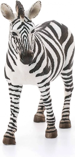 Idealno za zbirke in učenje