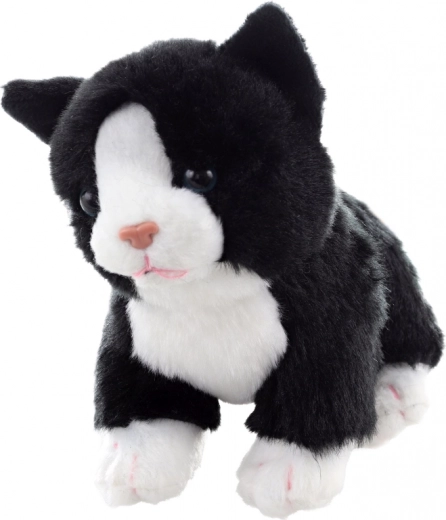 Stoječ položaj za igro in razstavo