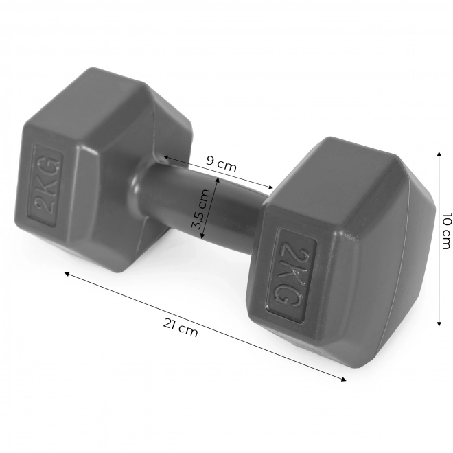 Heksagonalne uteži ModernHome 2x2 kg sive