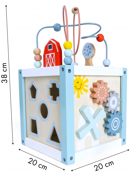 Lesena sortirna kock s kockami Ecotoys