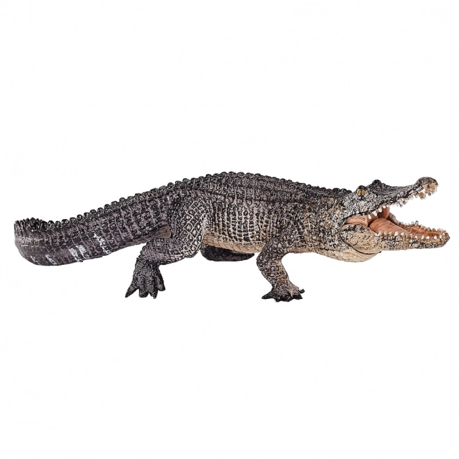 Mojo Živalski planet Aligator