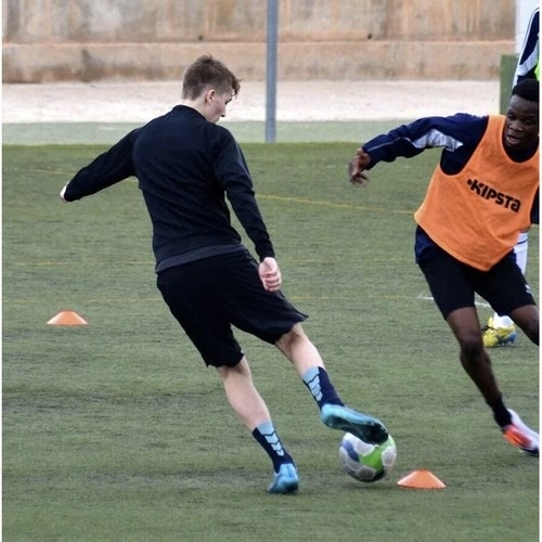 Trening stožci