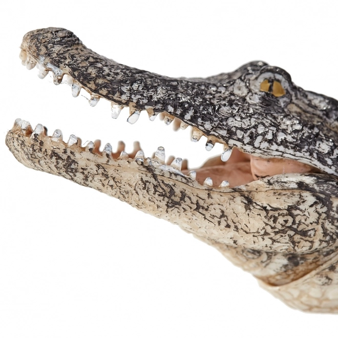 Mojo Živalski planet Aligator