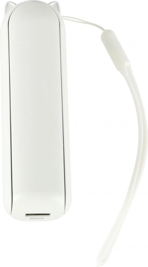 Hitro in učinkovito polnjenje