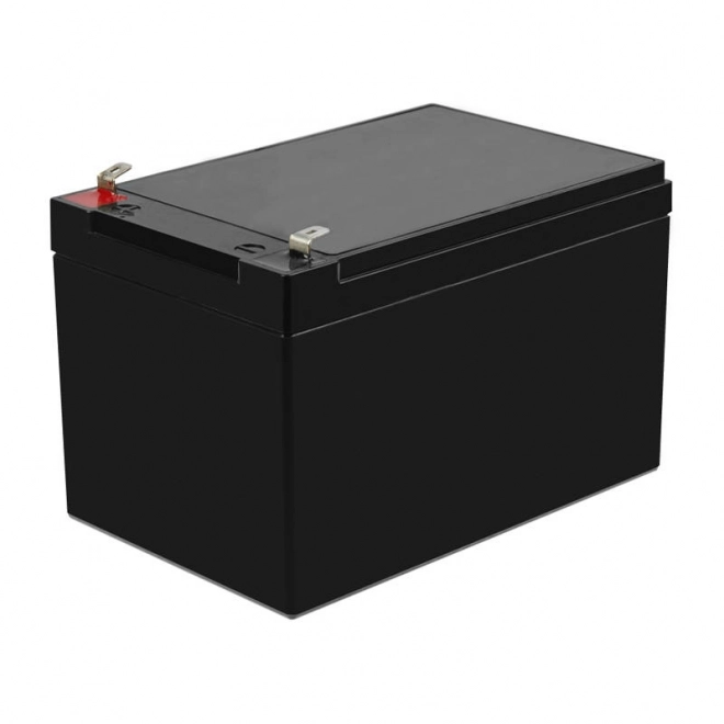 Polnilna baterija AGM 12V 14Ah Brezvzdrževalna baterija za UPS ALARM