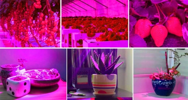 LED žarnica za rast rastlin 200 LED E27