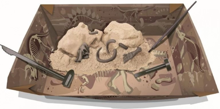 Izkoplji in odkrij: mavčni blok s fosili