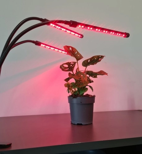 Svetilka 20 LED 3 kom. za rast rastlin Gardlov 19242