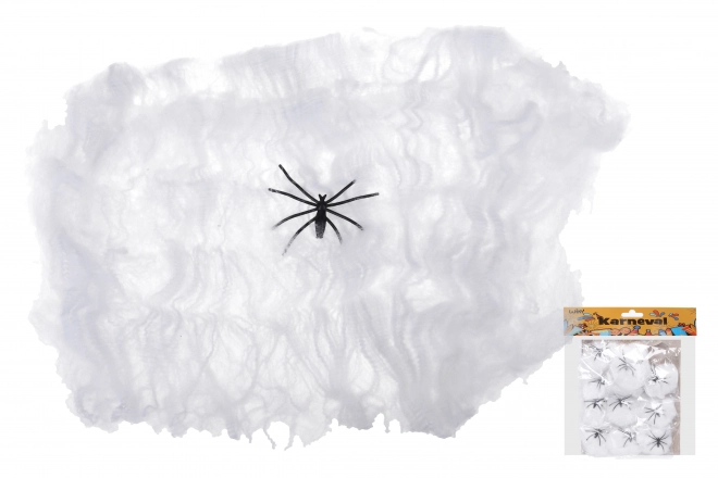 Halloween mreža s pajkom