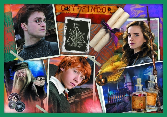 Sestavljanka Harry Potter - V svetu Harryja Potterja 10v1