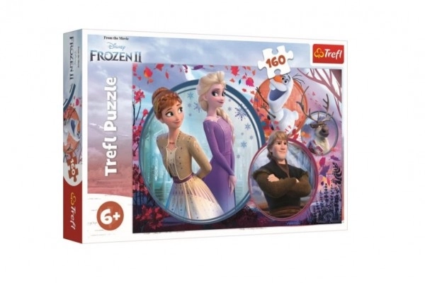 Trefl Sestavljanka 160 Disney Ledeno kraljestvo 2