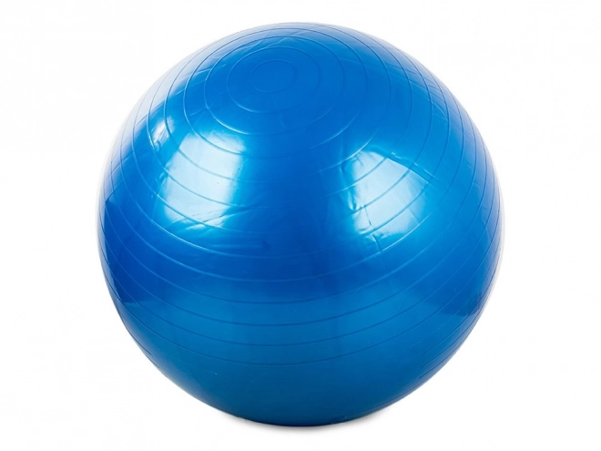 Gimnastična žoga Fitness 65 cm s tlačilko