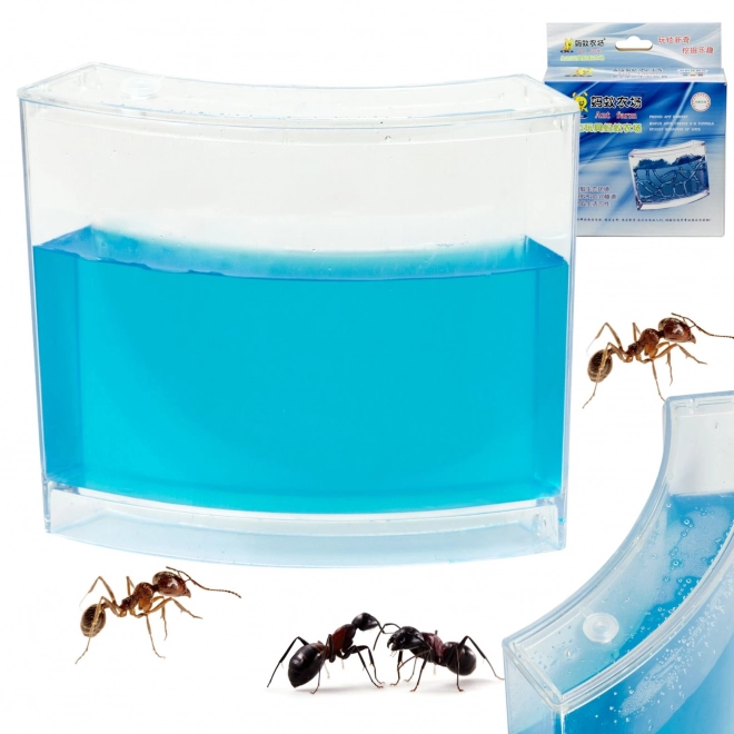 Izobraževalni gel akvarij za mravlje