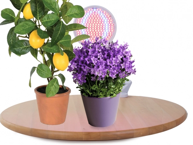LED svetilka za gojenje rastlin 20W
