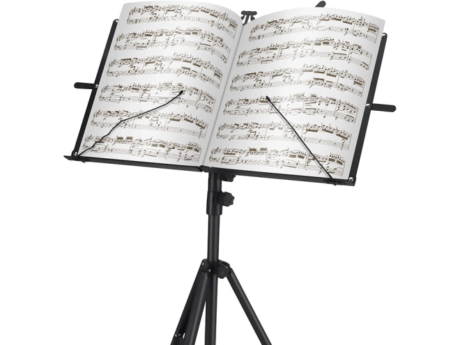 Eleganca in profesionalnost