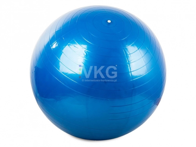 Gimnastična žoga Fitness 65 cm s tlačilko