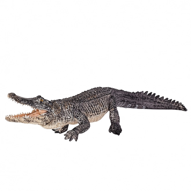 Mojo Živalski planet Aligator