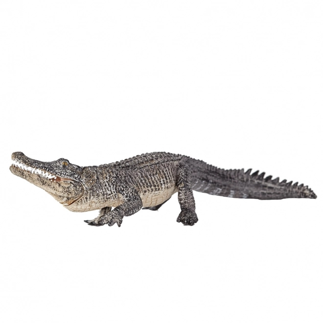 Mojo Živalski planet Aligator