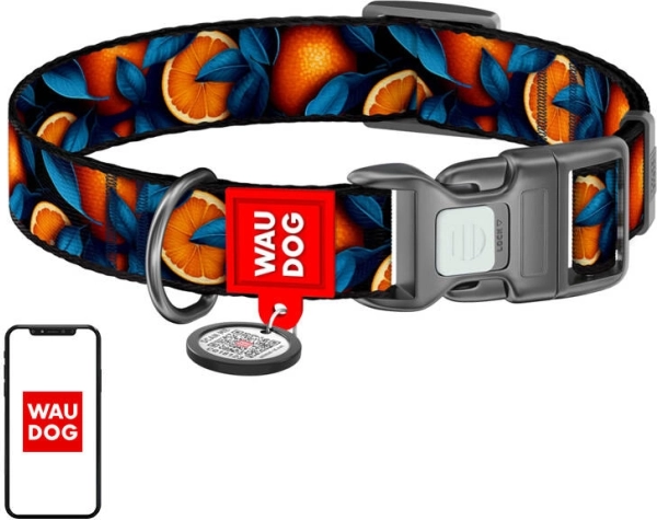 Najlonska ovratnica za pse WAU DOG Oranges z QR značko, velikost L