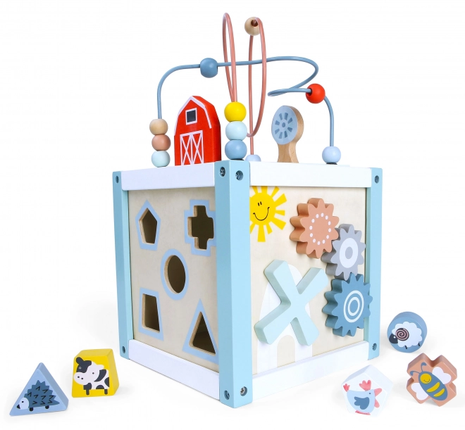 Lesena sortirna kock s kockami Ecotoys