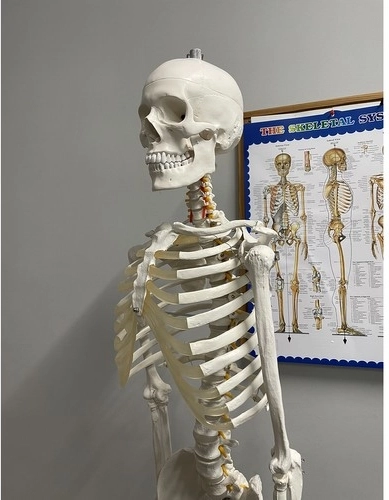 Učni pripomoček s plakatom