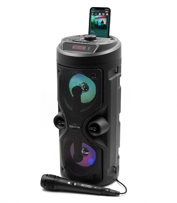 Bluetooth zvočnik Harmony s funkcijo karaoke