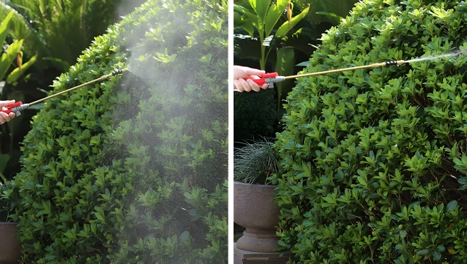 Ročni tlačni razpršilec za vrt MultiGarden 5L