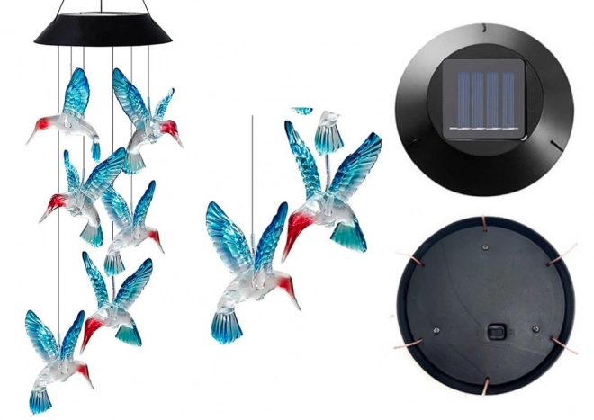 Sončna svetilka Kolibri LED barve