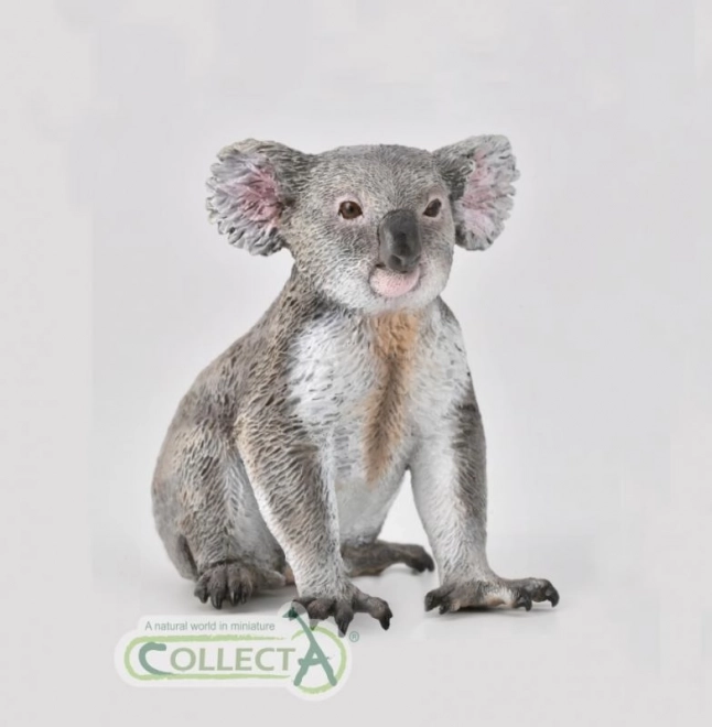 Kolekcija Koala