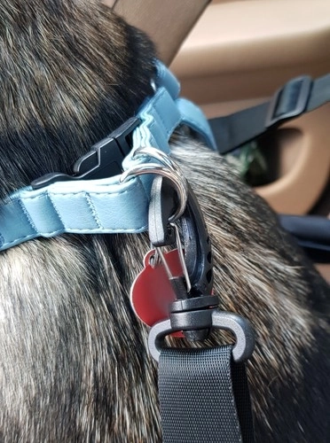 Purlov transportna škatla za živali za avto