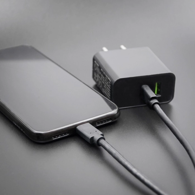 Kabel USB-C na USB-C za prenos podatkov in polnjenje, 3m, črn