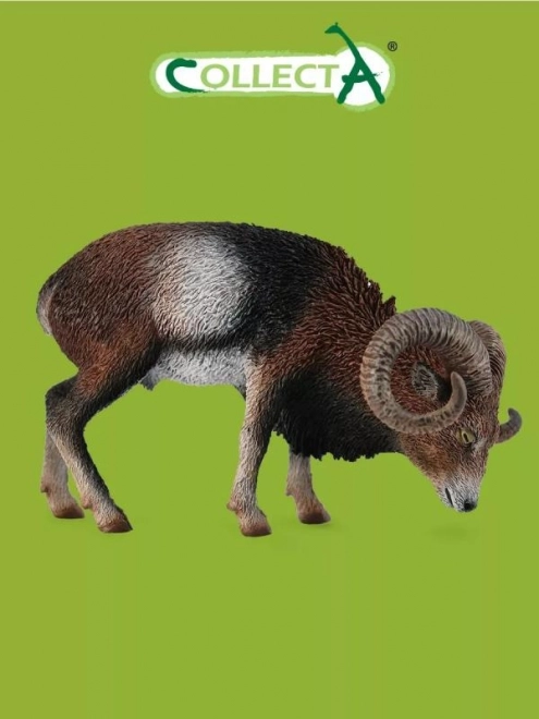 Evropski muflon