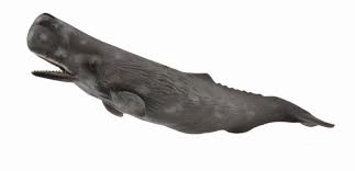 Kit iz zbirke Collecta