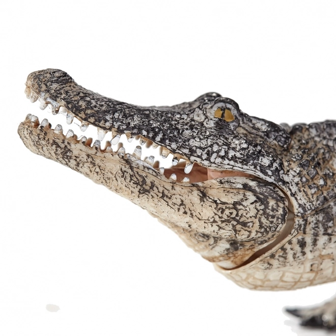 Mojo Živalski planet Aligator
