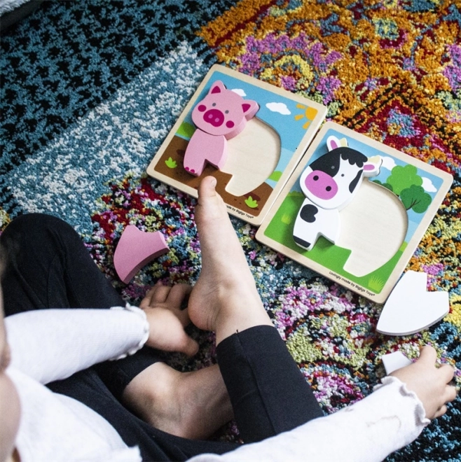 Bigjigs Toys Vstavljanka Prašiček
