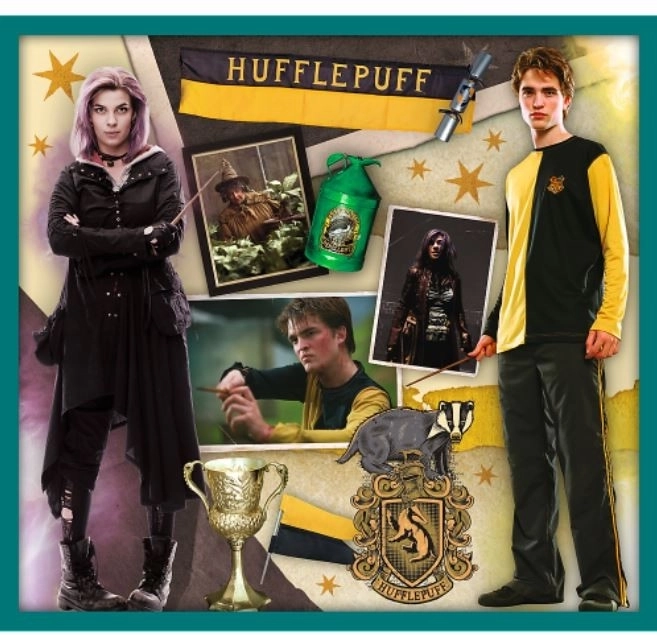 Sestavljanka Harry Potter - V svetu Harryja Potterja 10v1