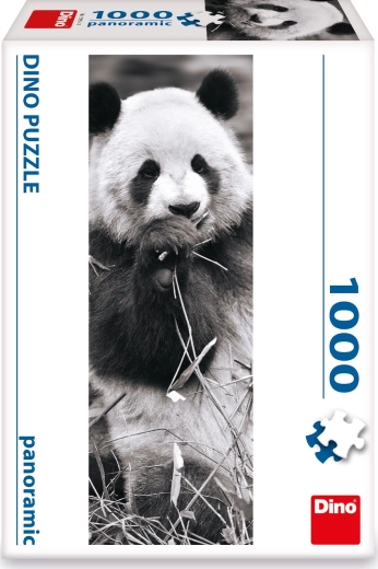 Panoramska slika s pando