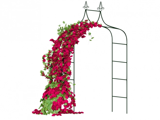 Vrtna pergola za vrtnice
