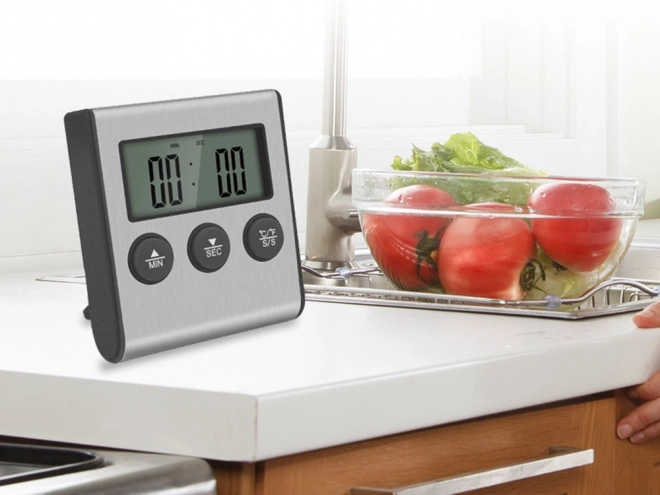 Digitalni termometer s termosondo za meso