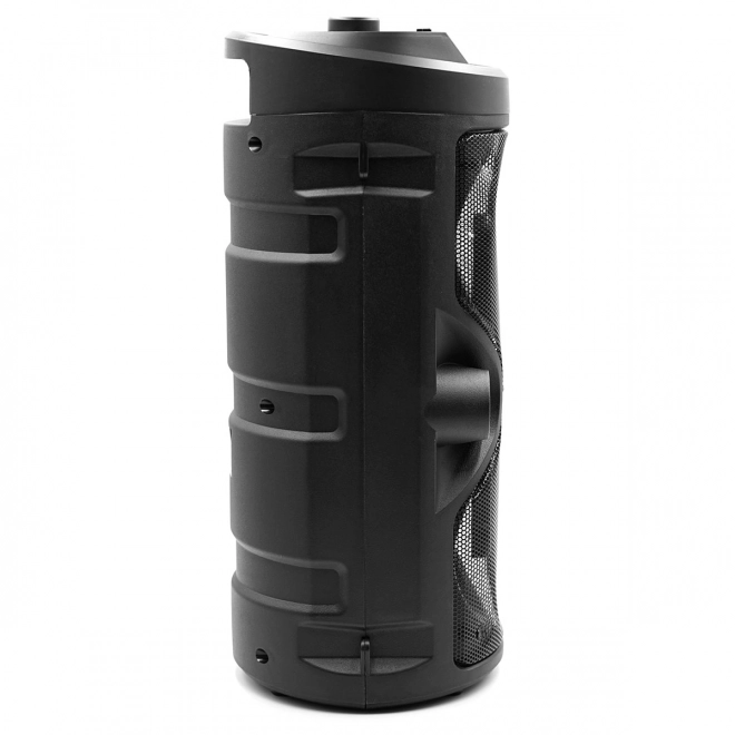 Bluetooth zvočnik Harmony s funkcijo karaoke