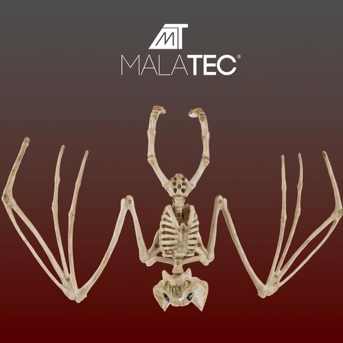 Okostje netopirja - dekoracija 30 cm Malatec