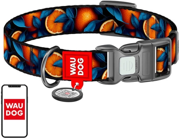 Waudog ovratnica za pse »Oranges« iz najlona z QR kodo, velikost XL