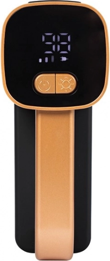 Pregleden LCD-zaslon