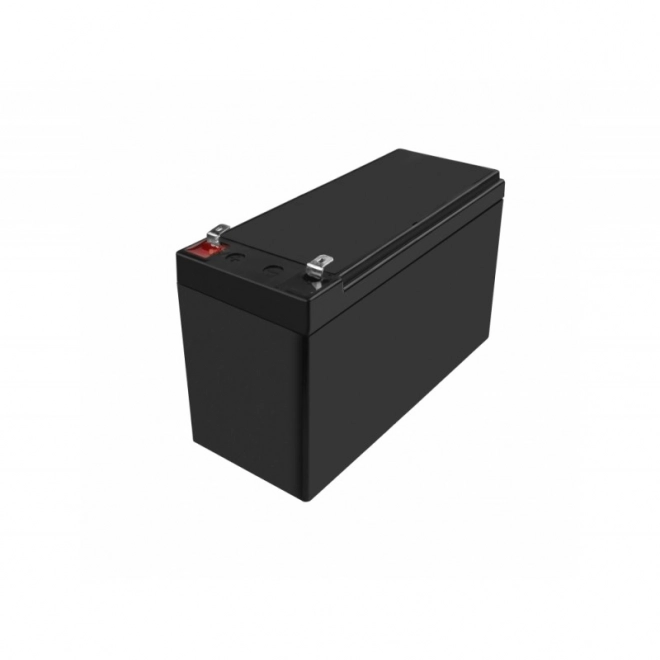 Polnilna baterija AGM VRLA Green Cell AGM50 12V 10Ah (za UPS, avtomobile, kosilnice na travo)
