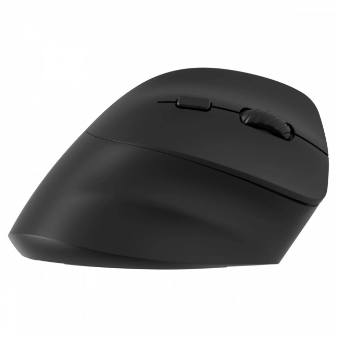 Brezžična ergonomska miška za desničarje, polnilna baterija Dual WL+BT