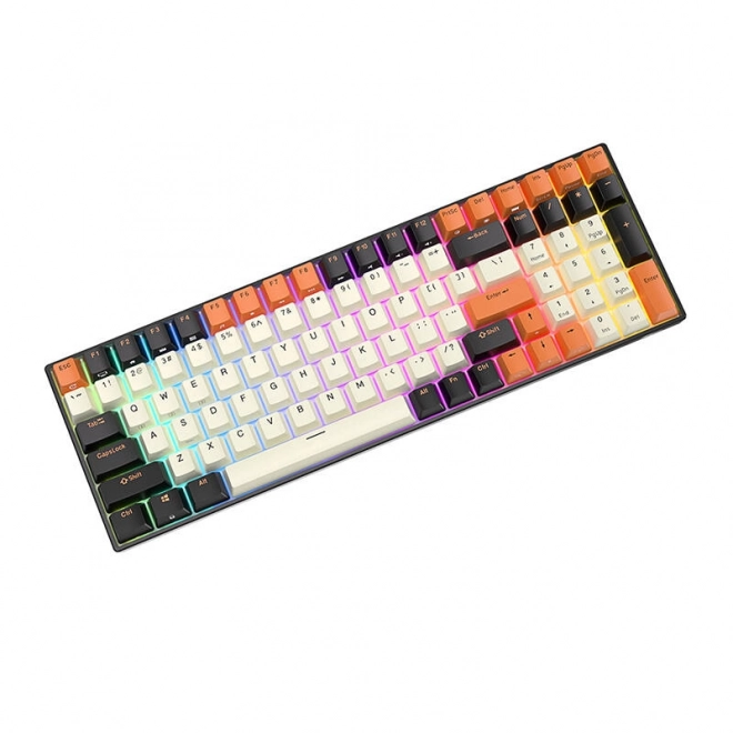 Mehanska tipkovnica Royal Kludge RK100 RGB rjavi stikalnik