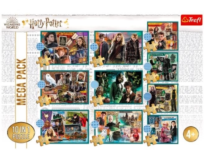 Sestavljanka Harry Potter - V svetu Harryja Potterja 10v1